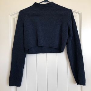 Wild fable crop top sweater